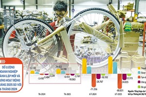 Làn sóng doanh nghiệp gia nhập thị trường diễn ra mạnh mẽ cho thấy niềm tin đang được củng cố trong cộng đồng doanh nghiệp tư nhân, đồng thời phản ánh kỳ vọng về môi trường kinh doanh sẽ thuận lợi hơn. Ảnh: Đức Thanh; Đồ họa: Thanh Huyền 