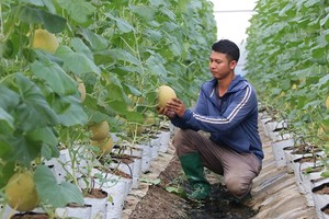 Ngành nông nghiệp vẫn duy trì đà tăng trưởng tích cực 