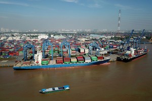 Các doanh nghiệp đầu ngành vẫn đang mở rộng đội tàu