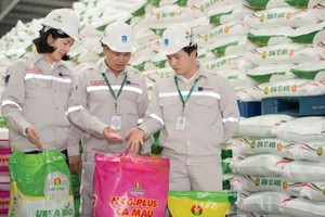 Ngành phân bón Việt Nam đang phát triển mạnh mẽ nhờ sự hỗ trợ từ các chính sách của Chính phủ