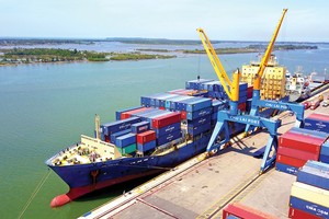 Ngành vận tải phân hóa mạnh