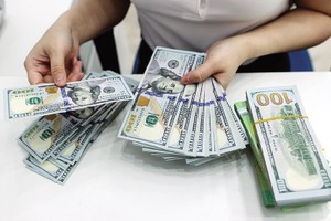 Theo nhiều chuyên gia, thời điểm hiện tại khá thuận lợi để phát hành trái phiếu bằng USD. 