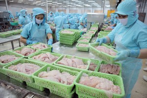 Hiện Việt Nam đứng thứ ba toàn cầu về xuất khẩu thuỷ sản, chiếm hơn 7% thị phần