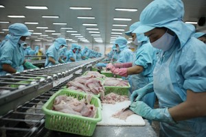 Từ ngày 7/8/2025, Mỹ áp thuế đối ứng 20% với thủy sản Việt Nam