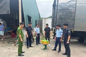 Các lực lượng phối hợp xử lý vi phạm trên địa bàn Quảng Ninh. Ảnh: Đỗ Quang.