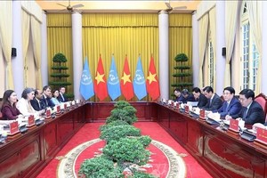 Liên Hợp quốc luôn là người bạn gắn bó với Việt Nam trên chặng đường phát triển 