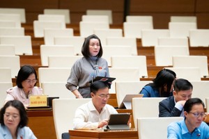 Đại biểu Nguyễn Minh Tâm tham gia thảo luận. 