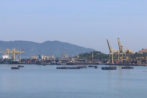 Doanh nghiệp đóng vai trò quyết định để đa dạng hóa thị trường xuất khẩu 