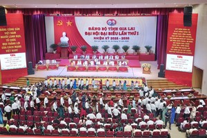 Các đại biểu tham gia biểu quyết nội dung chương trình đại hội tại phiên trù bị. 