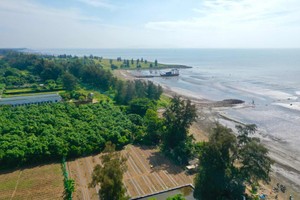 Khu Nam đón sóng đầu tư từ siêu đô thị biển Cần Giờ