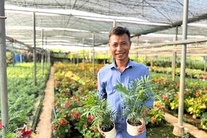 Nông dân Phúc Thọ biến khu vườn nhà thành điểm đến du lịch nông thôn 