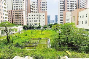 Nhà tái định cư Thủ Thiêm bỏ hoang nhiều năm, cỏ dại mọc um tùm