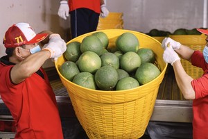 Doanh nghiệp Việt cần chủ động thích ứng quy định mới về xuất khẩu vào thị trường Trung Quốc.