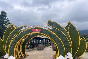 Lễ hội Hoa Sen đá 2025 được tổ chức với mục đích truyền đi thông điệp về "dòng chảy an nhiên" - nơi “tâm” bình lặng, an nhiên giữa dòng đời bất tận.