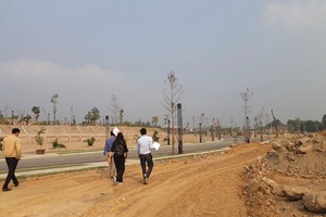 Trong quý III/2025, giá bán sơ cấp căn hộ chung cư tại Hà Nội tăng mạnh