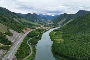 Đà Nẵng đề xuất dùng nguồn thu giao dịch tín chỉ các-bon phát triển kinh tế xanh 