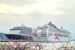 Hai siêu du thuyền hạng sang Westerdam (quốc tịch Hà Lan) và Star Voyager (quốc tịch Bahamas) cập Cảng tàu khách quốc tế Hạ Long.