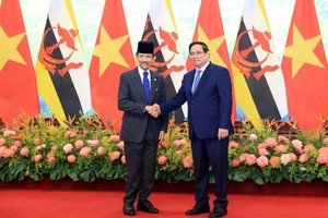 Thủ tướng Phạm Minh Chính hội kiến Quốc vương Brunei Darussalam Haji Hassanal Bolkiah. Ảnh: Đức Thanh