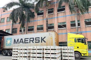 Việt Nam tăng tốc “cuộc đua” lưu trữ năng lượng 