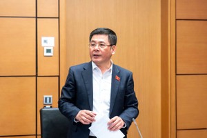 Cân nhắc không phân quyền chấp thuận chủ trương đầu tư dự án điện gió ngoài khơi cho các tỉnh 