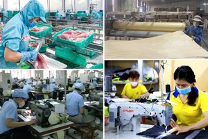 Kinh tế tư nhân là một động lực quan trọng nhất trong nền kinh tế quốc gia. 