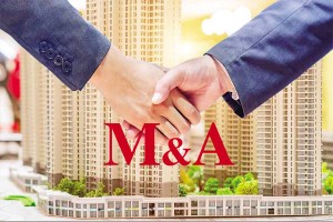 Thị trường mua bán - sáp nhập (M&A) Việt Nam được đánh giá là có nhiều cơ hội 