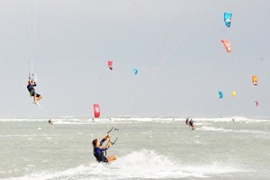 Ảnh minh họa. Ảnh: T.M.N 