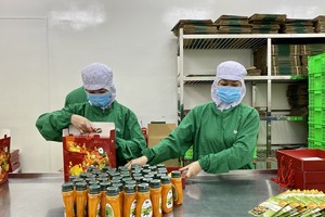 Nhiều doanh nghiệp nhận định nhu cầu tiêu dùng dần phục hồi trong mùa Tết năm nay.