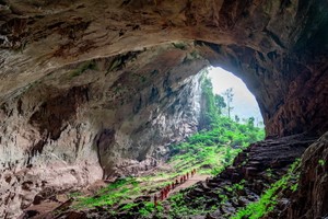 VQG Phong Nha- Kẻ Bàng tiếp tục là điểm đến hấp dẫn với du khách trong năm 2025. Ảnh: Jungle Boss