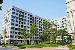 Ủy ban nhân dân cấp tỉnh đưa chỉ tiêu phát triển nhà ở xã hội theo từng năm được giao tại Nghị quyết này vào kế hoạch phát triển kinh tế xã hội hàng năm để triển khai thực hiện.