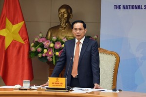 Phó Thủ tướng Bùi Thanh Sơn chỉ đạo tại cuộc họp của Ban Chỉ đạo quốc gia về ODA và vốn vay ưu đãi với các đối tác phát triển.