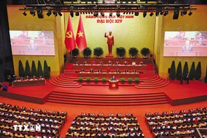 PGS-TS. Nguyễn Đình Thọ, Phó viện trưởng Viện Chiến lược, Chính sách nông nghiệp và môi trường (Bộ Nông nghiệp và Môi trường) 