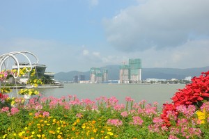 Thị trường đất nền tại thành phố Đà Nẵng ghi nhận nhiều chuyển biến tích cực.