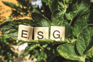 ESG - yếu tố thúc đẩy mang tính chiến lược