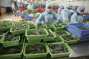 Xuất khẩu lập đỉnh đang tạo lực đỡ cho cổ phiếu thủy sản bước vào chu kỳ mới