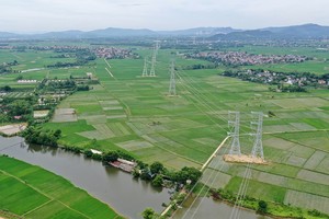 Thêm dự án đường dây 500 kV do EVNNPT làm chủ đầu tư tại Gia Lai 