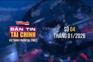 [Bản tin Tài chính] Chuyên gia quốc tế hỗ trợ Việt Nam quản lý nợ công hiệu quả, tạo dư địa phát triển 