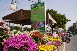 Chợ hoa Xuân Trên bến dưới thuyền rộn ràng trước ngày khai mạc 