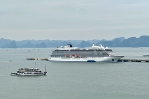 Du lịch tàu biển Quảng Ninh nhộn nhịp, sôi động với sự xuất hiện liên tiếp của các chuyến tàu lớn. Ảnh: Quỳnh Nga