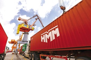 Trong bối cảnh kinh tế thế giới nhiều bất ổn, Việt Nam vẫn đạt quy mô thương mại lớn 