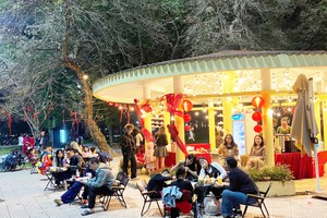 Người dân và du khách trải nghiệm tại “Khu Trải Nghiệm Tết Việt”, ngày 29 tháng Chạp.