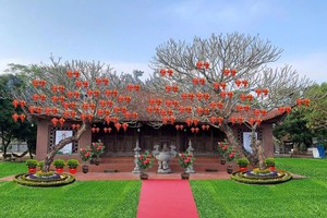 Chùa Phượng Vũ được khởi dựng khi Thiền sư Từ Đạo Hạnh (1072 - 1117) dừng chân tại vùng đất Vũ Thư