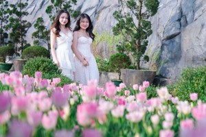 Du lịch Tết Bính Ngọ 2026 tăng trưởng ấn tượng 