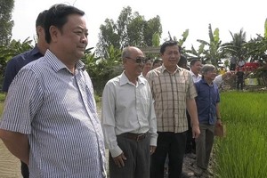 Phó chủ tịch Quốc hội Lê Minh Hoan (bìa trái) thăm mô hình sản xuất hiệu quả tại xã Tam Nông, tỉnh Đồng Tháp 