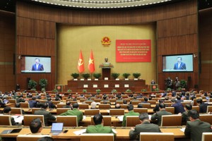 Toàn cảnh Hội nghị.