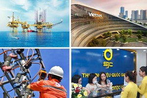 Dự thảo Nghị định quy định chi tiết khoản 2 Điều 30 và Điều 42 Luật Phục hồi, phá sản về thay đổi người đại diện theo pháp luật của doanh nghiệp có vốn nhà nước 