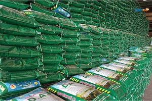 Chủ tịch Hiệp hội Phân bón khuyến cáo đa dạng nguồn cung, chuẩn bị kịch bản ứng phó tác động từ xung đột Trung Đông 