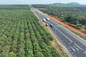 Một đoạn cao tốc Phan Thiết - Dầu Giây. 