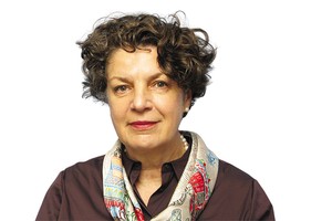 Bà Helga Margarete Barth, Đại sứ CHLB Đức tại Việt Nam 