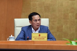 Phó Thủ tướng yêu cầu đa dạng hoá nguồn nhập khẩu than; sử dụng tối đa nguồn nhiên liệu trong nước - Ảnh: VGP.